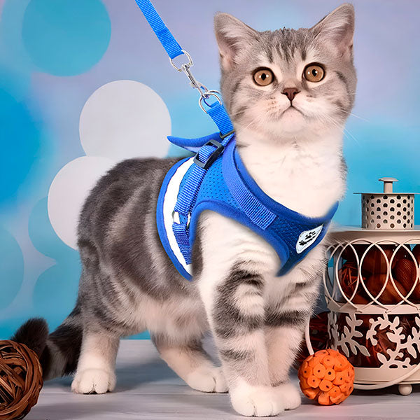 Fényvisszaverő Kutya-Macskahám Pórázzal